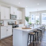 home render thumbnail