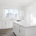 home render thumbnail