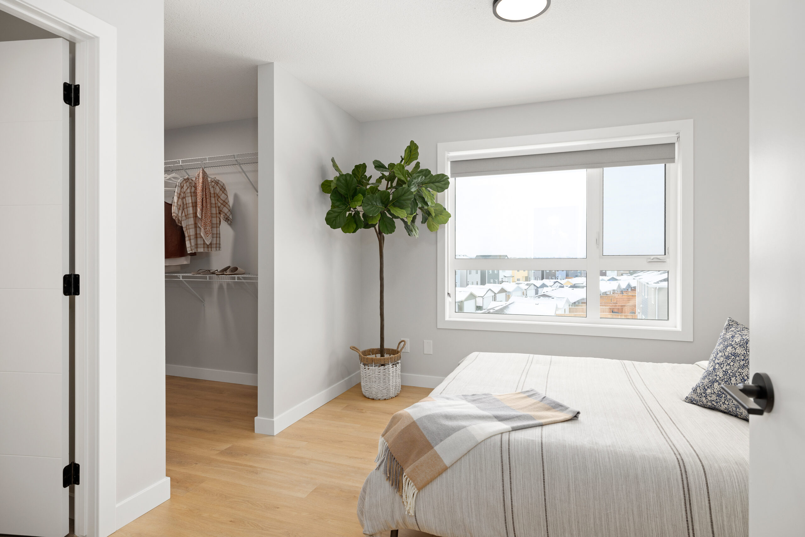 home render
