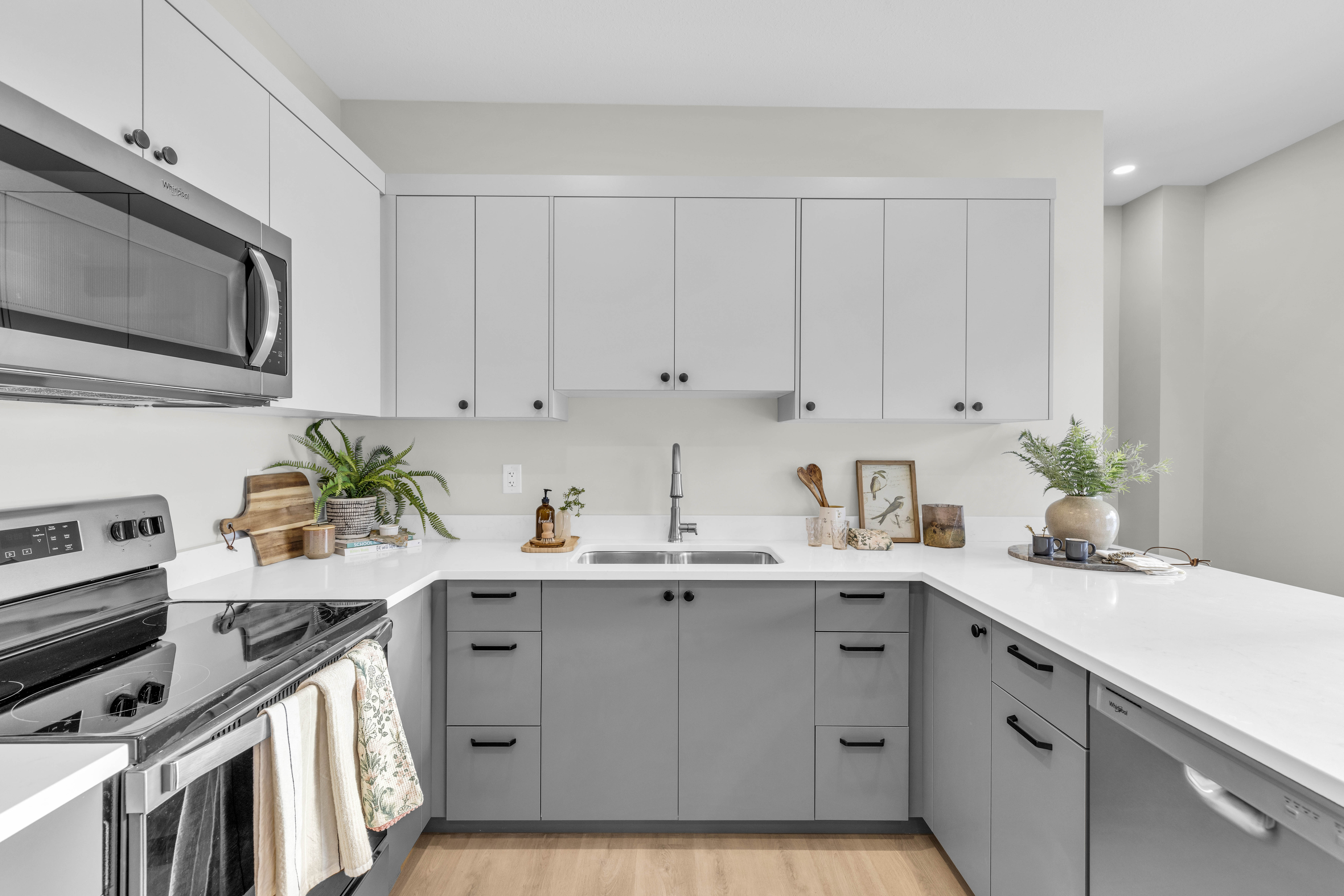 home render